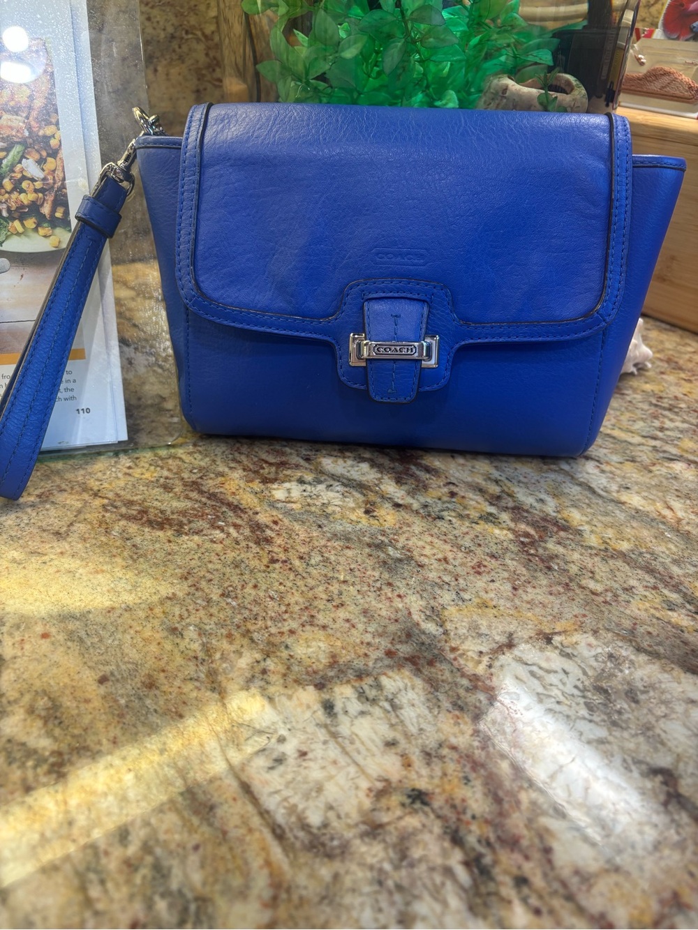COACH Taylor Distressed Leather Wristlet/Clutch